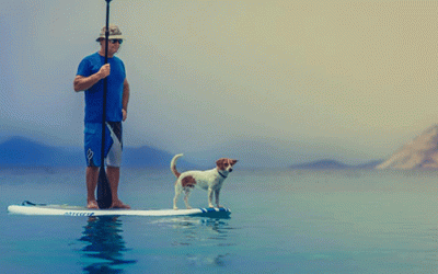 Salud, acompáñame a donde quiera que vaya