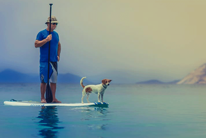 Salud, acompáñame a donde quiera que vaya