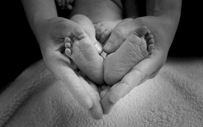 Alimentación durante el embarazo, ¿Qué comer cuando espero un bebé?