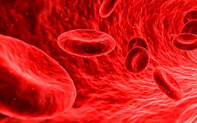 La diabetes: tipos y consecuencias