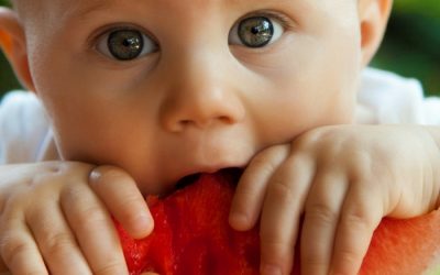 Más que leche: Aprende a alimentar a tu bebé