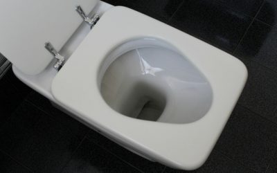 ¿Qué dicen tus heces sobre tu salud?