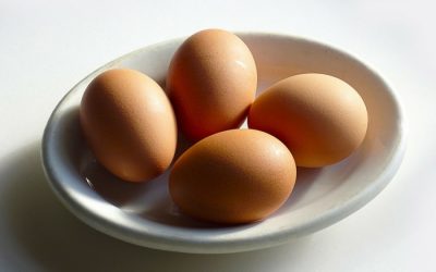 Salmonelosis, ¿qué es y cuáles son sus síntomas?